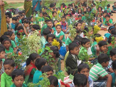 gallery/Environmental_Day
